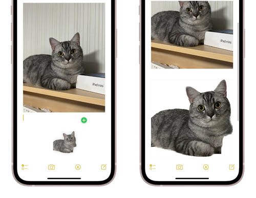 iOS 16: How to Remove background from image iPhone, iPad - GizmoWeek