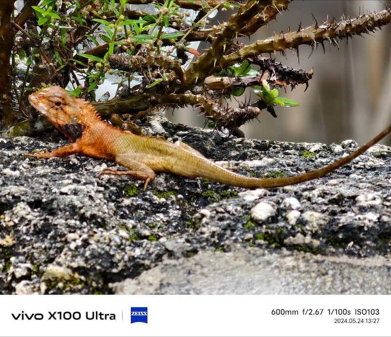 shot-by-vivo-x100-ultra